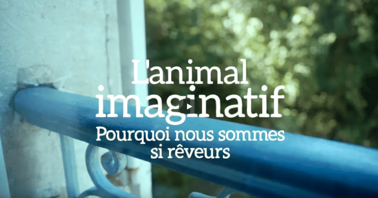 Première vidéo de L Humanologue : l animal imaginatif