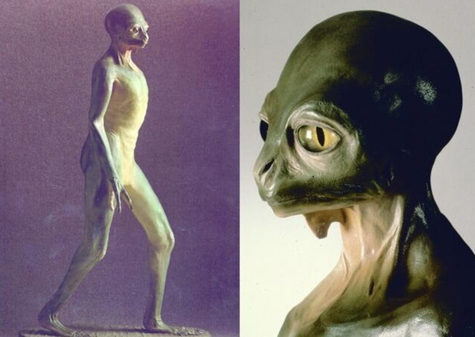 Evolution. L&rsquo;évolution a-t-elle un sens ?