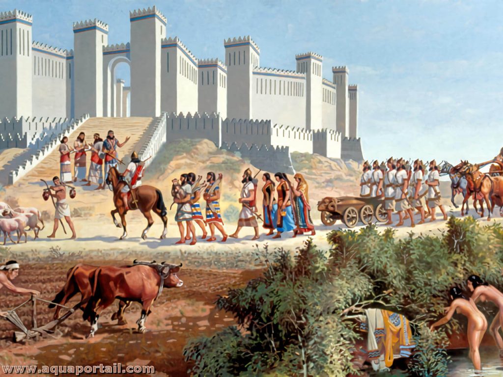 Civilisations: essor, mort et renaissance